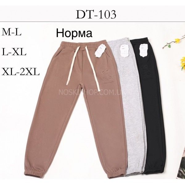 Прогулянкові штани "BLACK CYCLONE" DT-103 трикотажні з кишенями з боків +низ на манжеті резинці, р. M/L-(44-48), L/XL-(46-50), XL/2XL-(48-52) -(сірі, кавові, чорні)