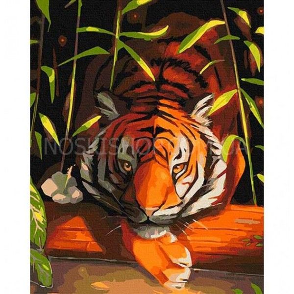 Картина за номерами 40х50 (11618) "Бенгальський Тигр"