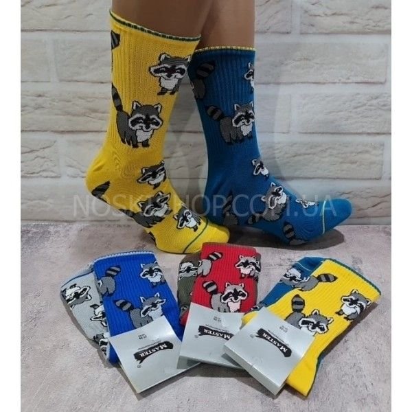 Шкарпетки Житомир "Мaster" 824-1 стрейч /cotton чоловічі "Теніс двоколірні /різнопарні" р. 25-27 -випадковий мікс -(Різнопарні + великі єноти з хвостом -стрейч) -уп. 12 шт