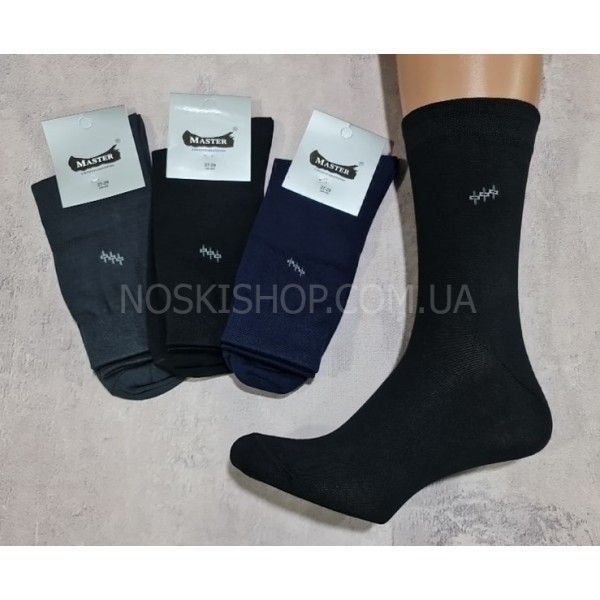 Шкарпетки Житомир "Master" 3340-1 махра "new-еліт класика-плюш" чоловічі (срібляста етикетка) р. 27-29 -(Махра -випадкове асорті -new) -уп. 12 шт