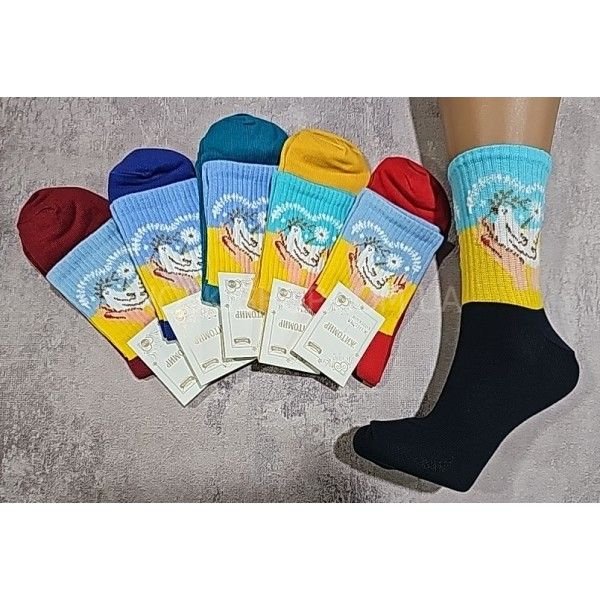 Шкарпетки Житомир "Master" 204-6 бавовна-стрейч жіночі р. 23-25 -асорті -(Високі +на гумці в рубчик "Голуб у долоньках" ) -уп. 12 шт.