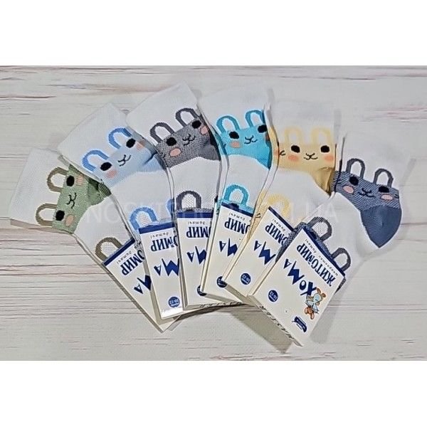 Шкарпетки дитячі Житомир "ХОМА-Master" SD60-70 сіточка на розмір за довжиною стопи: р. 10-12 см -(сітка -хлопчик /випадкове асорті без вибору!)