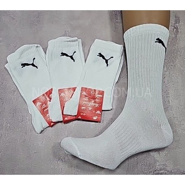 Шкарпетки "Спорт" Гр-736 стрейч чоловічі /Тенніс, р. 40-45 -(білі -Тенніс чол.)