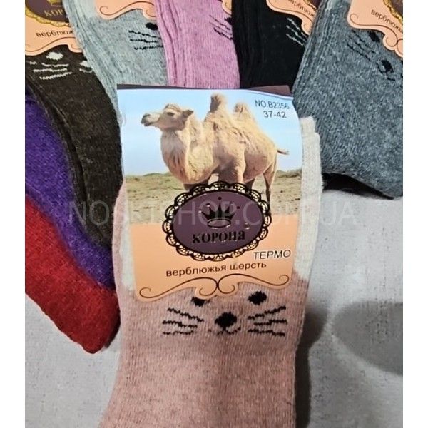 Шкарпетки "КОРОНА" 2356 термо верблюжа вовна жін. Р. 37-42 -асорті -(мордочки котиків) -уп. 12 шт