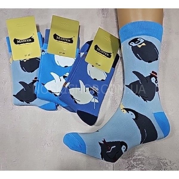 Шкарпетки Житомир "Master" 9329-1 безшовні махра чоловічі, р. 25-27, 27-29 -випадкове асорті -(мікс великих пінгвінів -махра)