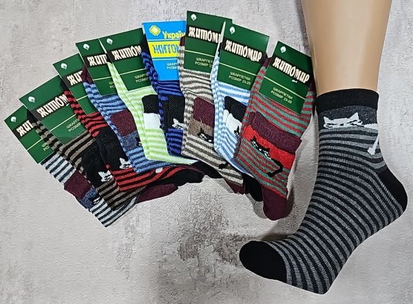 Шкарпетки "Житомир Преміум" 112-31 стрейч жін, р. 23-25 -випадкове асорті -(тоненькі смужечки +котик -стрейч)