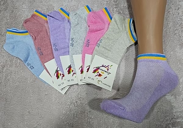 Шкарпетки Житомир "LIMERENCE" 00-11 сітка дитячі на розмір за довжиною стопи: р. 22-24 см -асорті -(дівчинка -сіточка кольорові +жовто-блакитний обідок на гумці) -уп . 12 шт