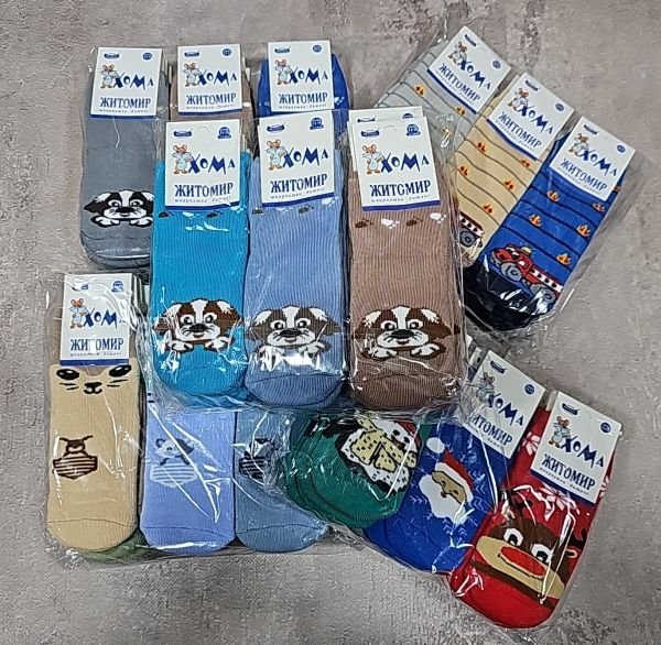 Шкарпетки Житомир "ХОМА-Master" 2006-3 дитячі махрові, розмір за довжиною стопи: 14-16 -(хлопчик-махра) -випадковий мікс без вибору!