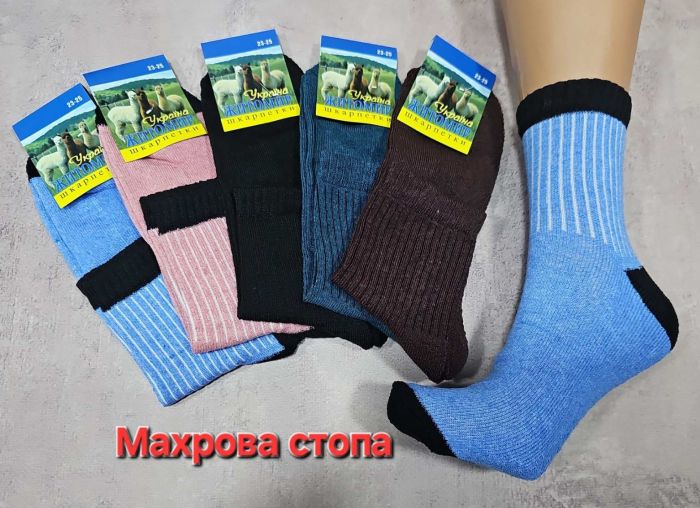Шкарпетки Житомир "Преміум" 6058 махрова стопа жін, р. 23-25 -випадкове асорті -(Махрова підошва -однотонні /кольорові з високою резинкою в рубчик) -уп. 12 шт.