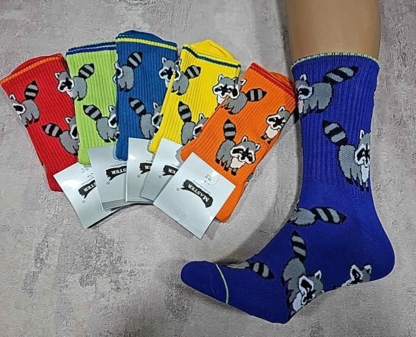 Шкарпетки Житомир "Мaster" 823-3 стрейч /cotton чоловічі "Теніс кольорові" р. 25-27, 27-29 -випадковий мікс -(Теніс /кольорові з великими єнотами з хвостиками по всій шкарпетці -стрейч) -уп. 12 шт 
