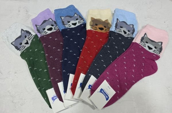 Шкарпетки "Master" 4102-2 махрові жіночі р. 23-25 -випадкове асорті -(Махра -під резинкою сіра мордочка кота +V всьому по шкарпетці) -уп. 12 шт