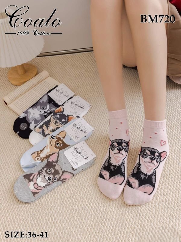 Шкарпетки "COALO" BМ-720 стрейч /cotton жіночі, р. 36-41 -асорті -(укорочені /3D - мікс собачок чихуахуа) - уп. 10 шт