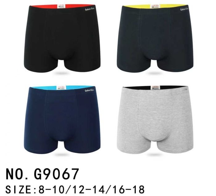 Боксери підліткові "GALVIEN KLEAIN" G-9067 cotton, р. 8-10, 12-14, 16-18 -уп. 12 шт