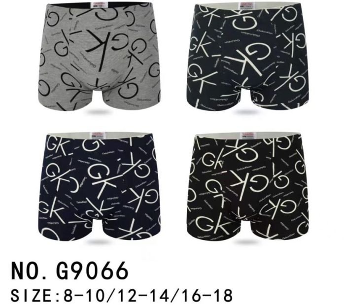 Боксери підліткові "GALVIEN KLEAIN" G-9066 cotton, р. 8-10, 12-14, 16-18 -уп. 12 шт